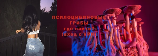 стаф Алзамай