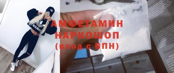 шишки Алексин
