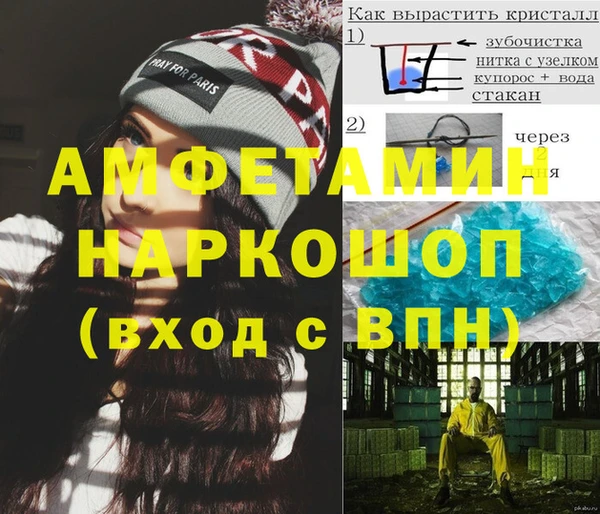 стаф Алзамай