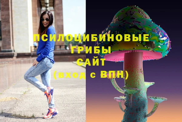 стаф Алзамай