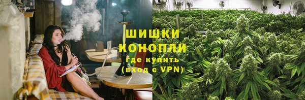 шишки Алексин