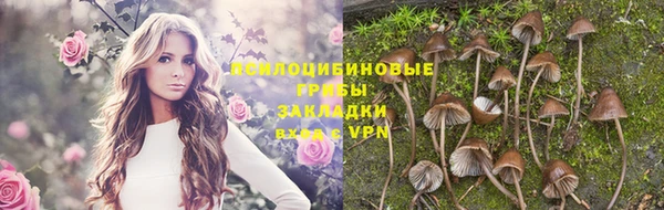 эйфоретик Алексеевка