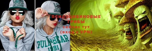шишки Алексин