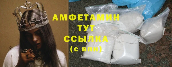 шишки Алексин